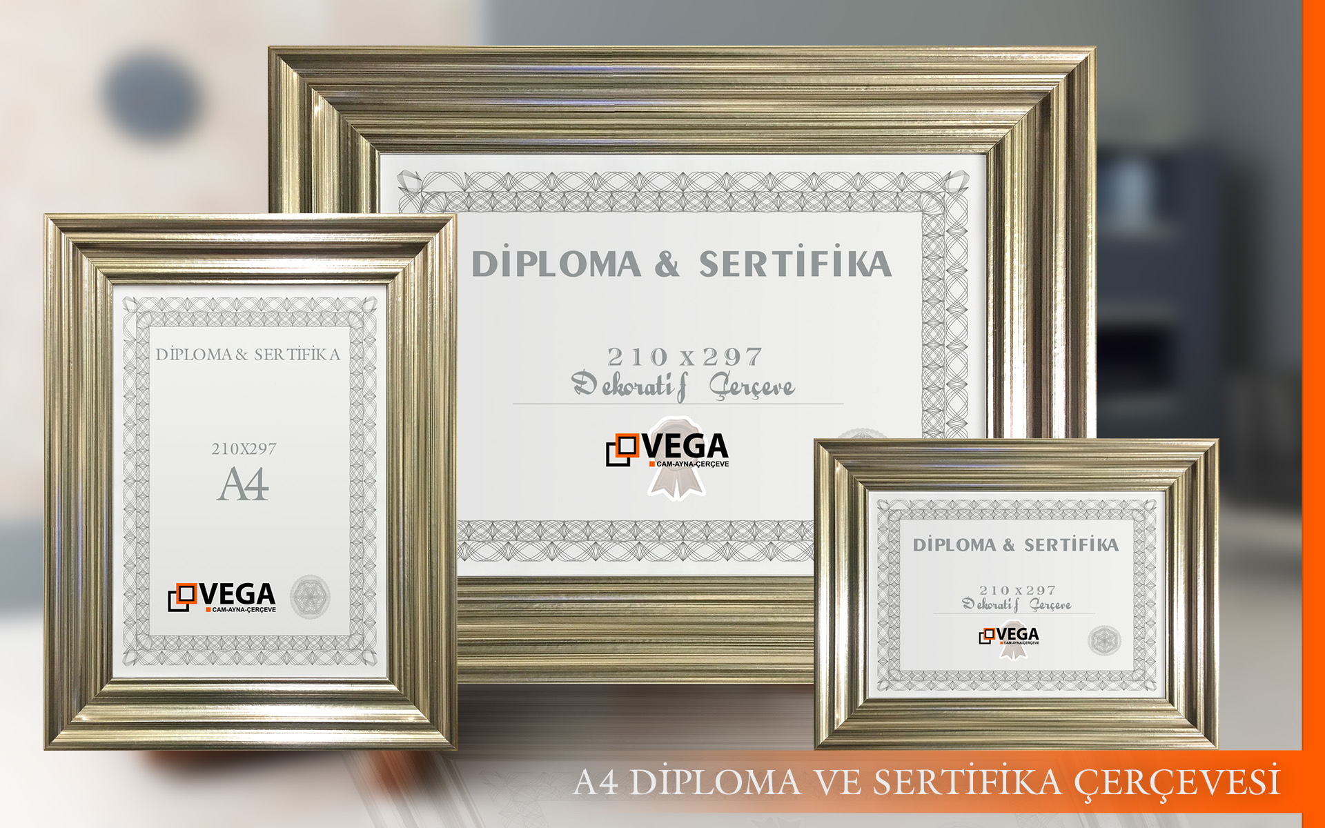 a4 diploma sertifika çerçeveleri