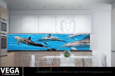 Vega Vam Tezgah Arası Cam Modelleri