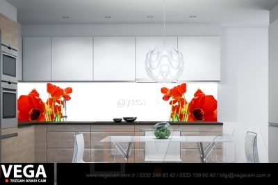 Vega Cam Tezgah Arası Cam Modelleri