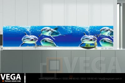 Vega Cam Tezgah Arası Cam Modelleri
